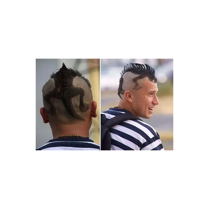 Coupe Homme crocrodile