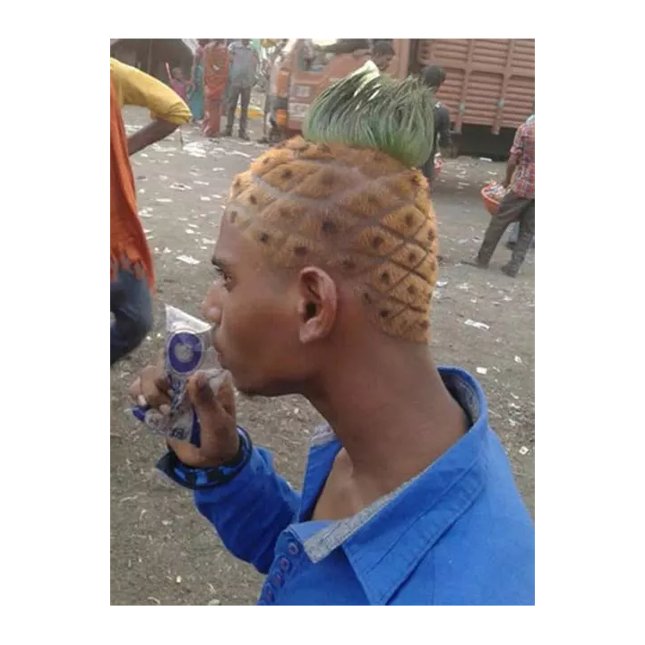 Coupe Qui vit dans un Ananas dans la mer